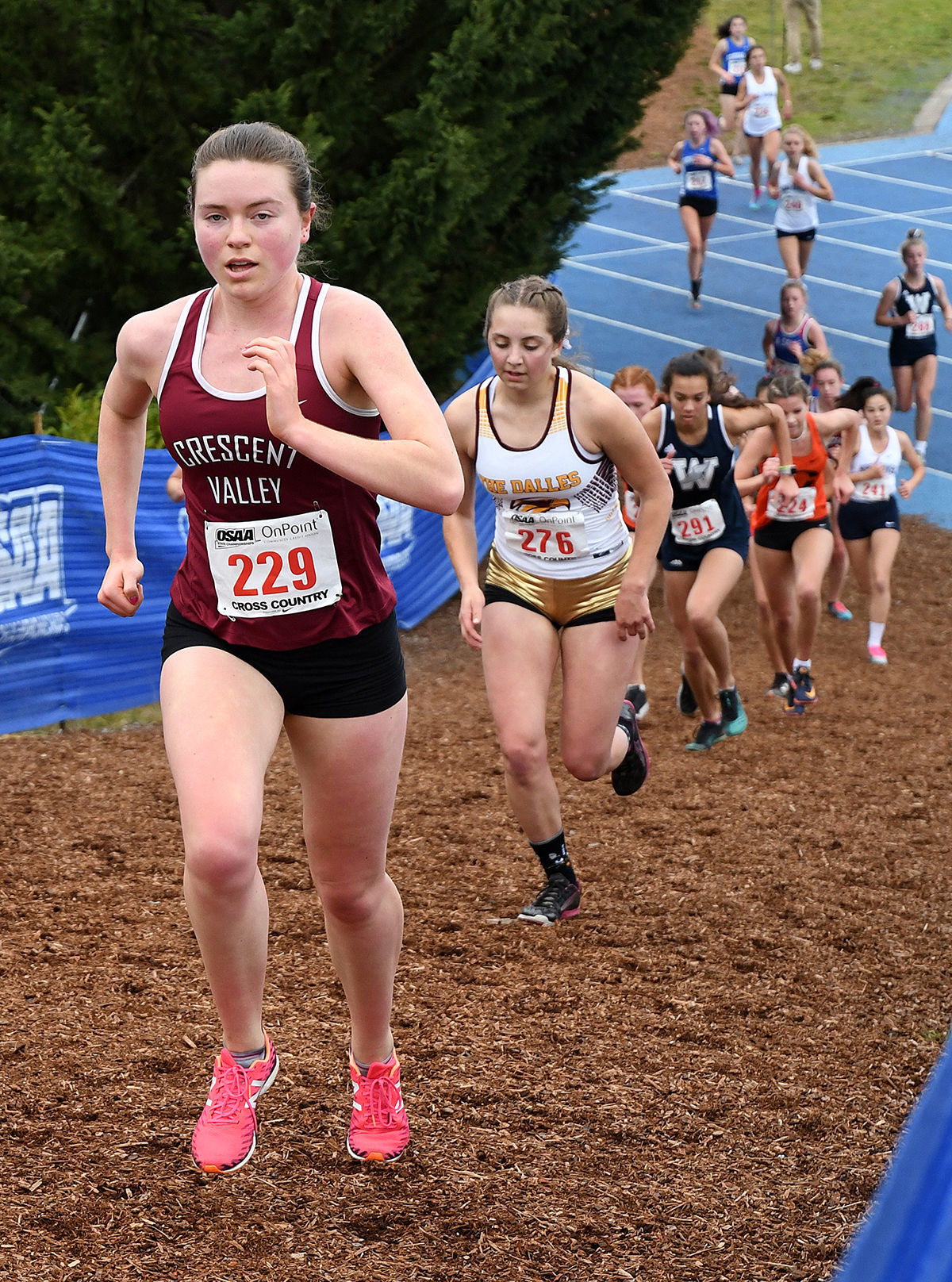 11-10-2019 5A Girls Cross Country 08.jpg